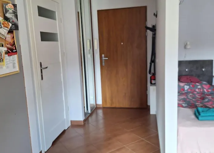 Апартаменты Witkowska-nocleg Вроцлав